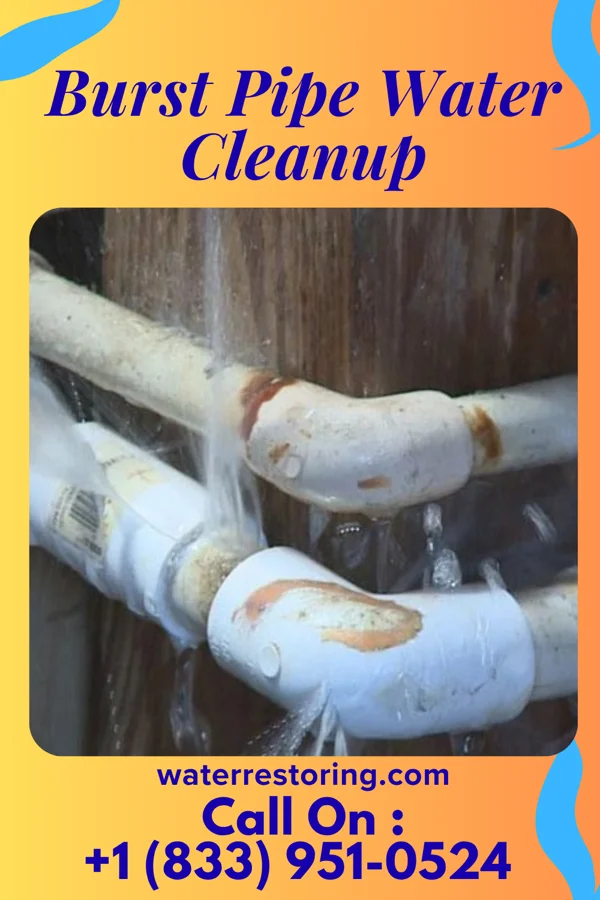 Burst Pipe Water Cleanup in Bear Rocks, PA
