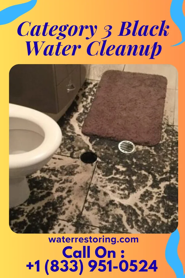 Category 3 Black Water Cleanup in Bear Rocks, PA