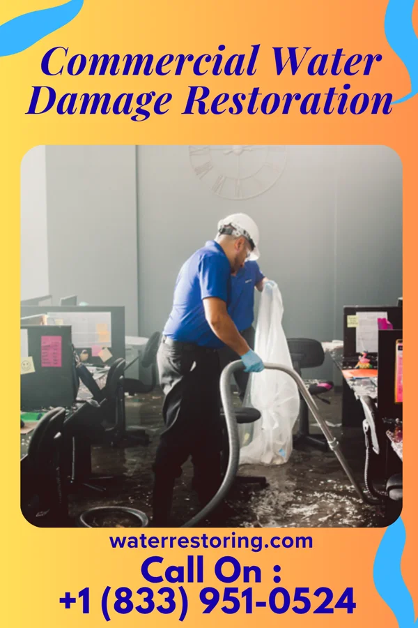 Commercial Water Damage Restoration in Bear Rocks, PA