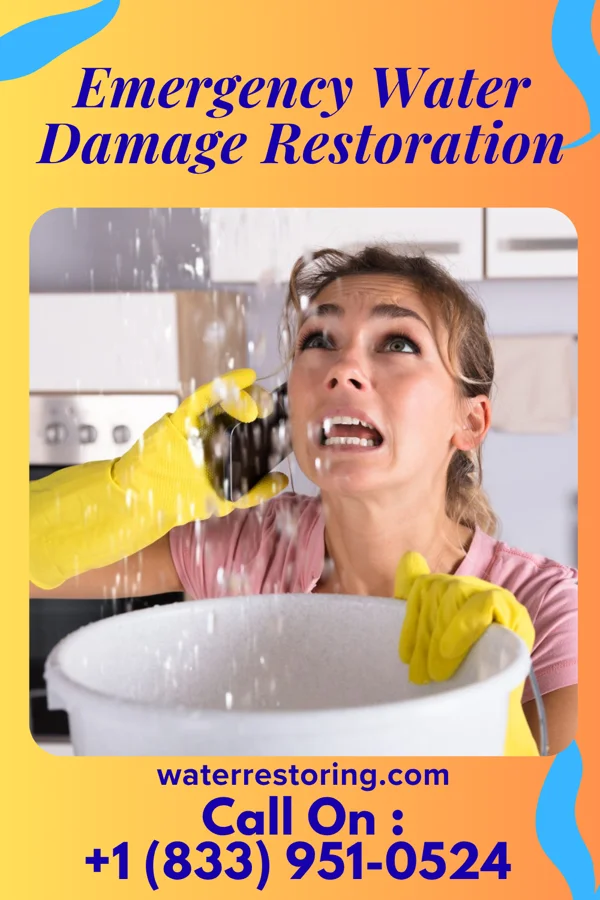 Emergency Water Damage Restoration in Bear Rocks, PA