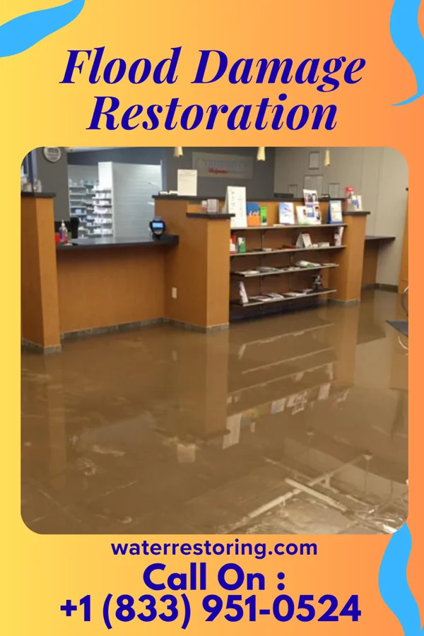 Flood Damage Restoration in Bear Rocks, PA
