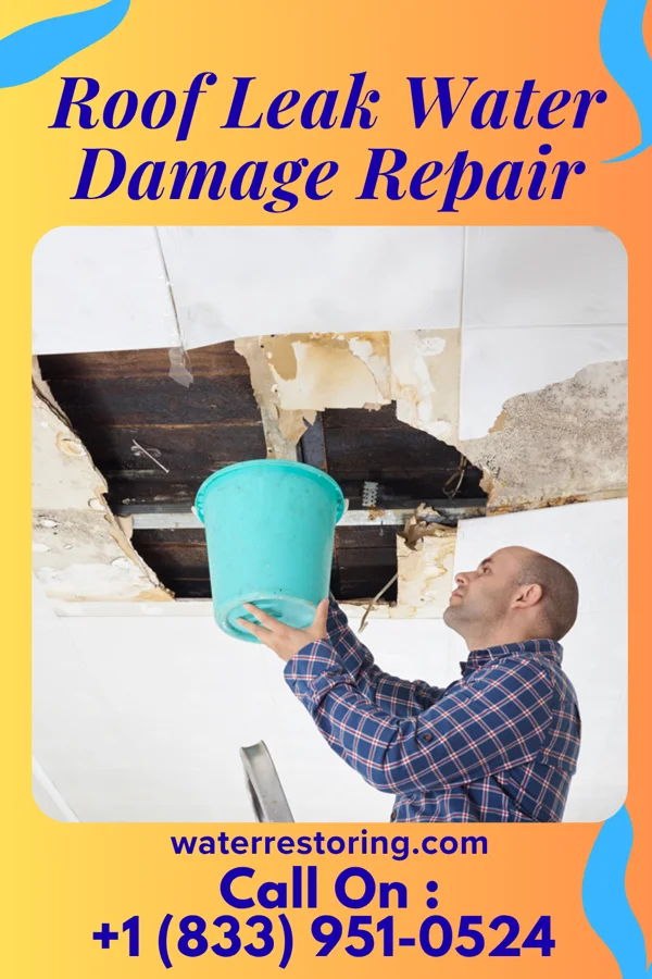 Roof Leak Water Damage Repair in Bear Rocks, PA