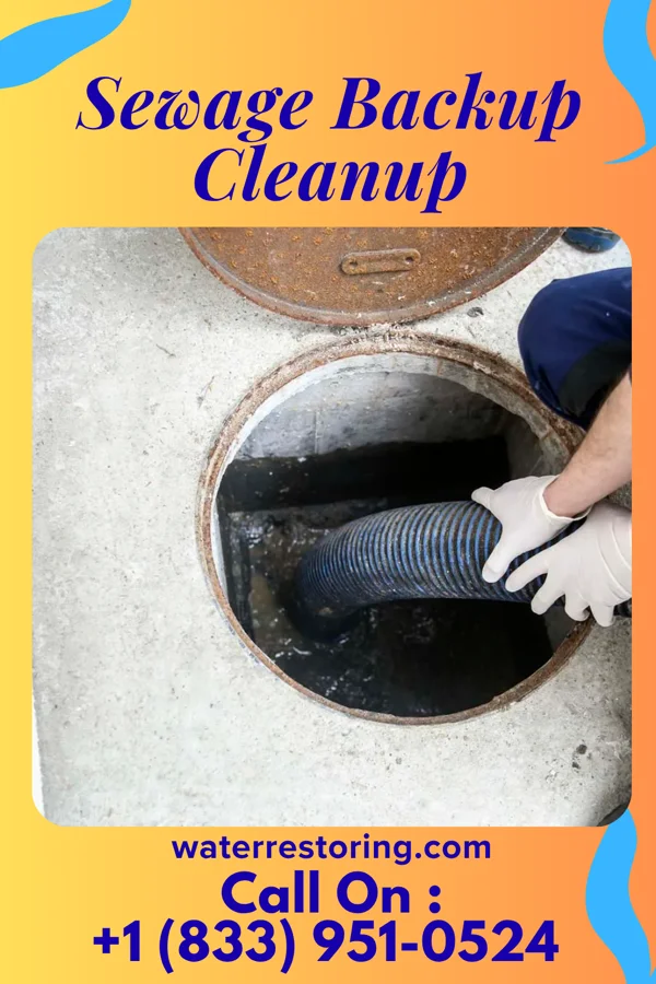 Sewage Backup Cleanup in Bear Rocks, PA