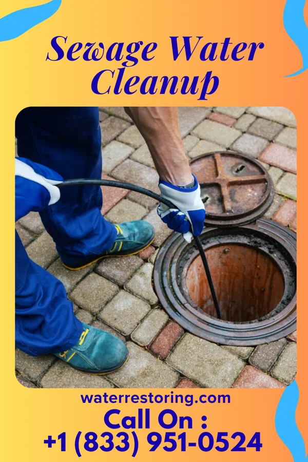 Sewage Water Cleanup in Bear Rocks, PA