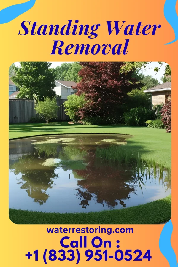 Standing Water Removal in Bear Rocks, PA